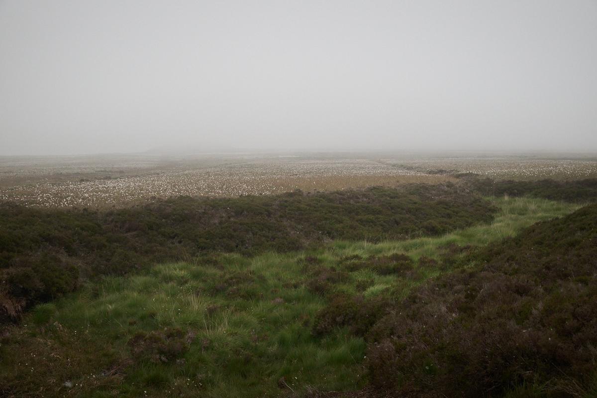 DSC_5604.jpg