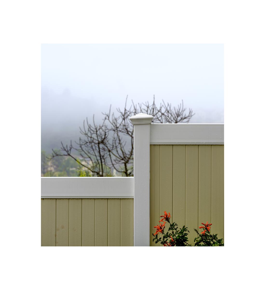 Fence-and-Fog.jpg