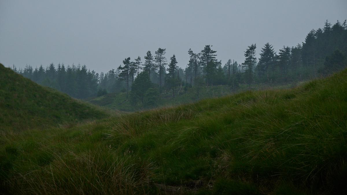 DSC_5612.jpg