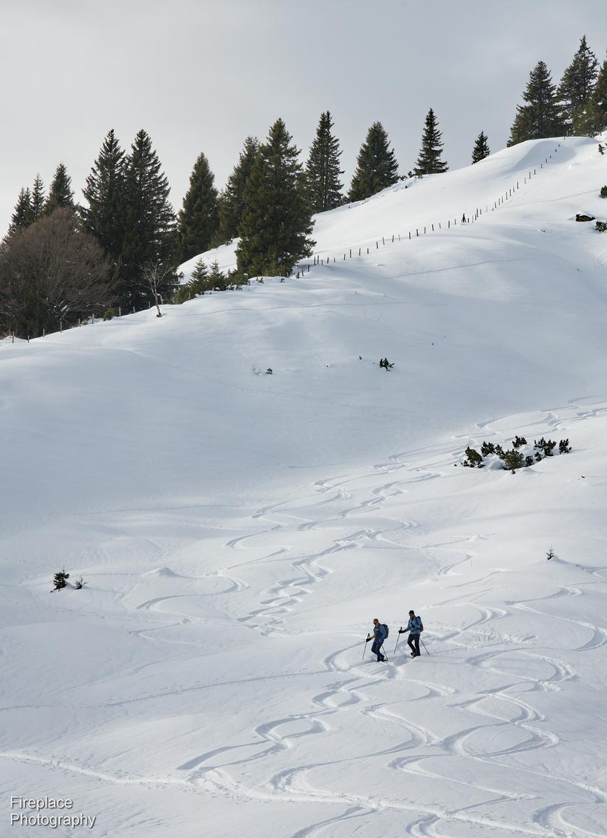 DSC_2446 smaller.JPG