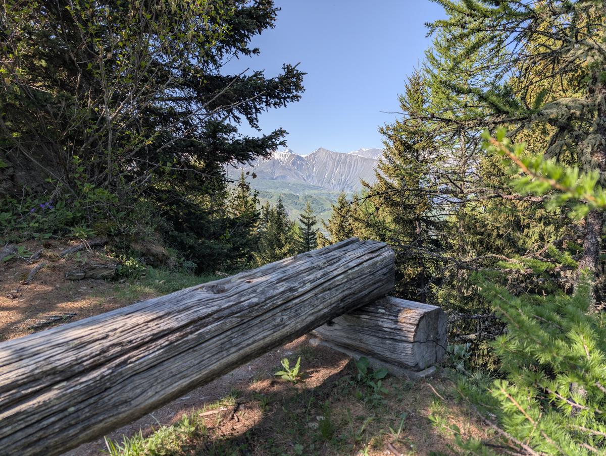 PXL_20260529_073938534.RAW-01.jpg