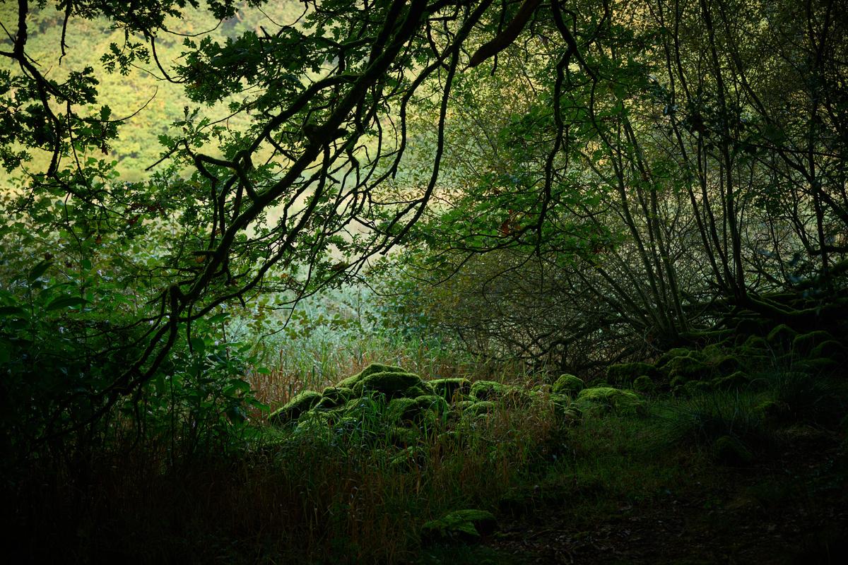 DSC_8024.jpg