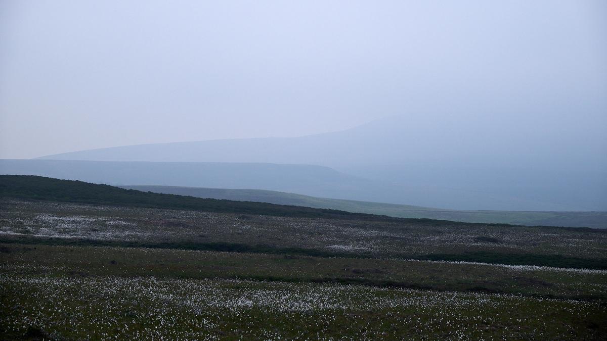 DSC_5584.jpg