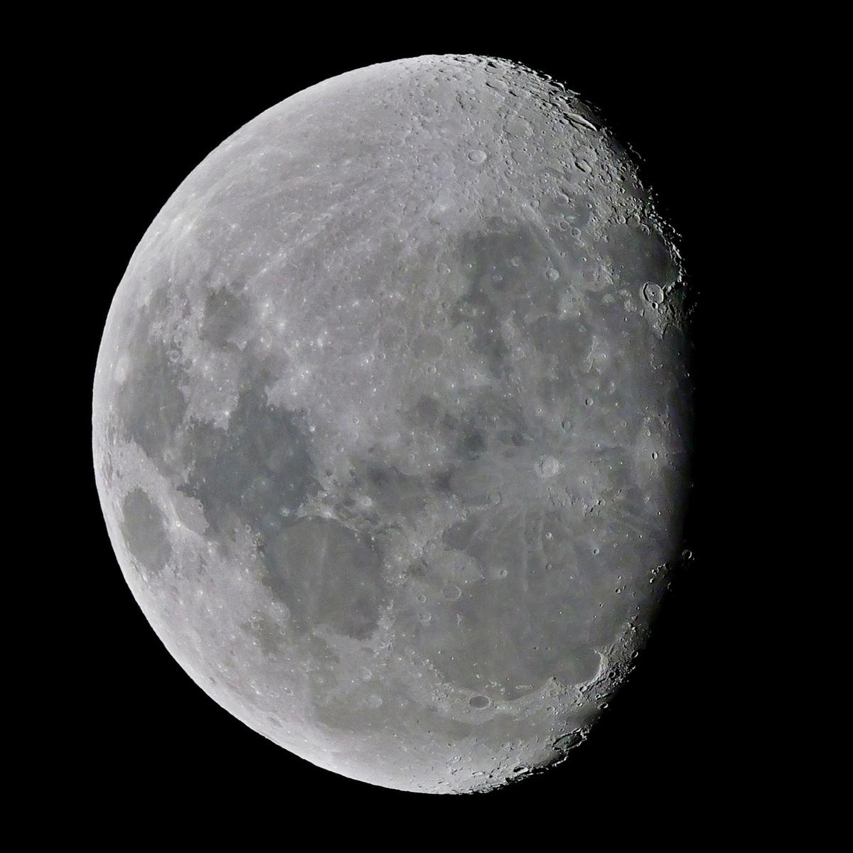 P1064466c.JPG