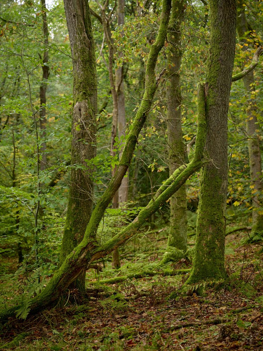 DSC_7716.jpg