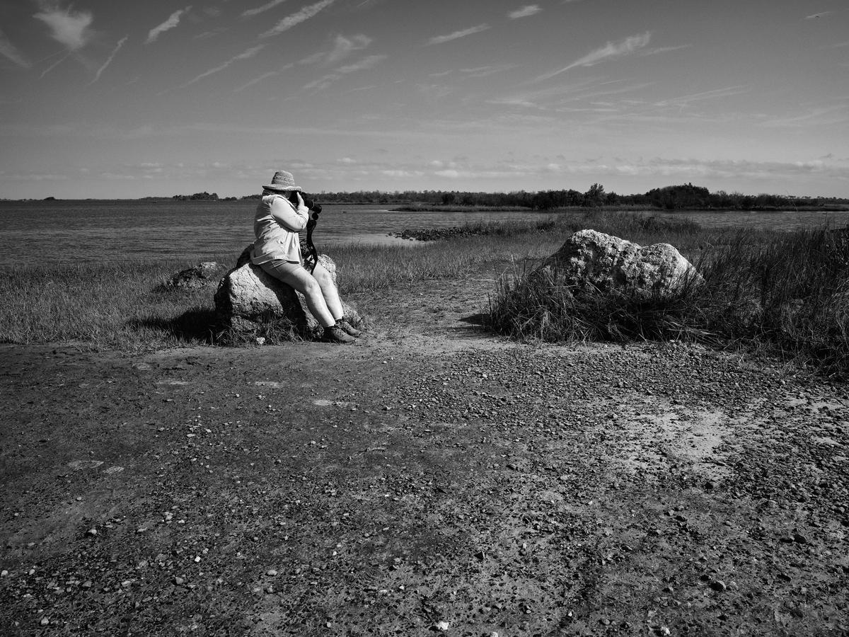 Cedar Key-GFRF2342-20260323-0119.jpg