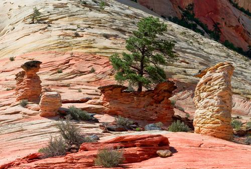 Zion NP.jpg