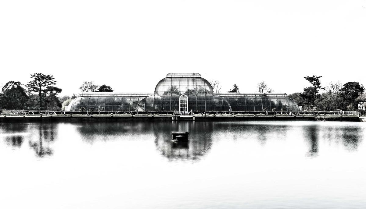 Art House Palm House.jpg
