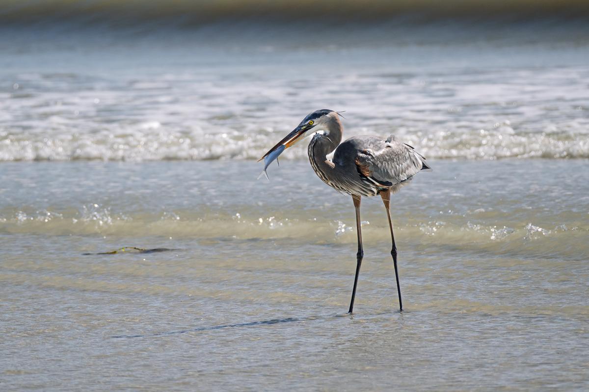 Vacation FM 2025-2078.jpg