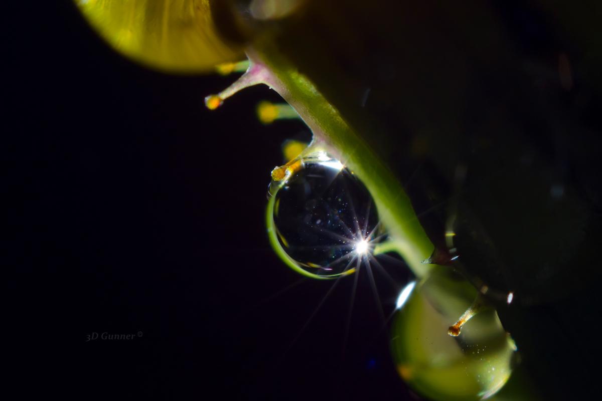Droplets.jpg