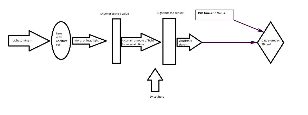 lEarly Sigma Foveon lght-flow.jpg