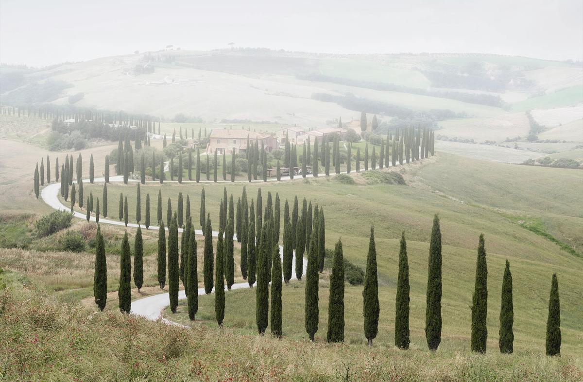 Tuscan Fog .jpg