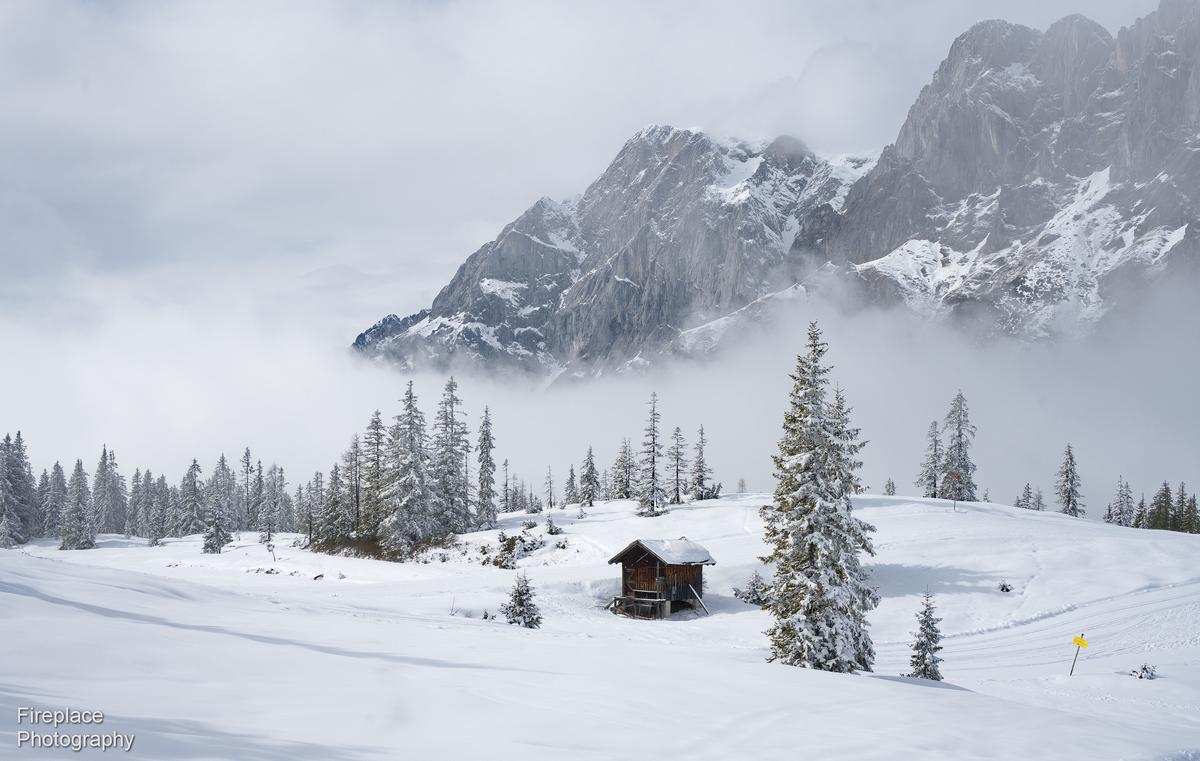 DSC_8473 smaller.JPG