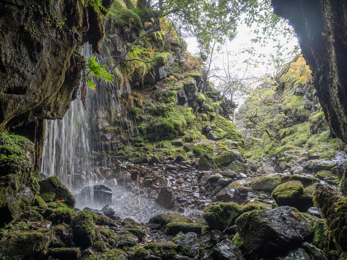 PA077576.jpg