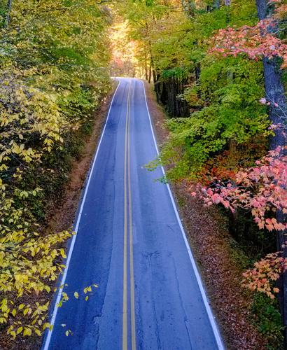 Fall Road.jpg