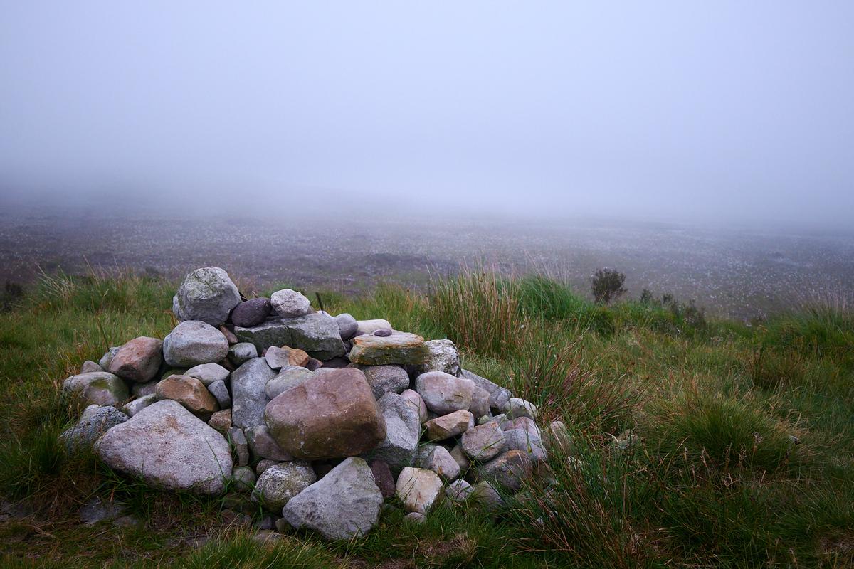 DSC_5590.jpg