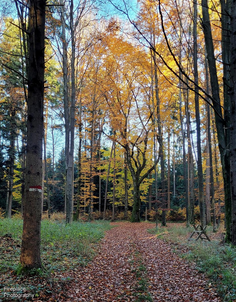 20251104_154127 smaller.JPG