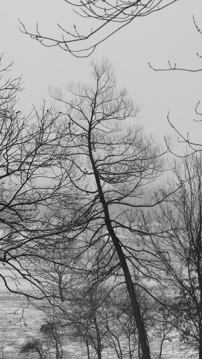 IMG_5510 cropped.JPG