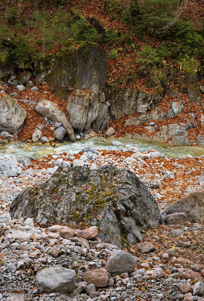 DSC_1667 smaller.JPG