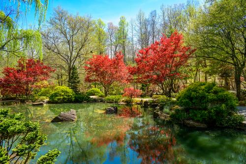 Japanese Garden.jpg