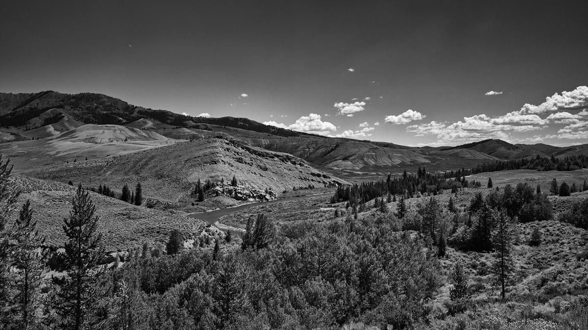 Moose Head-GFRF0493-20250715-0879.jpg