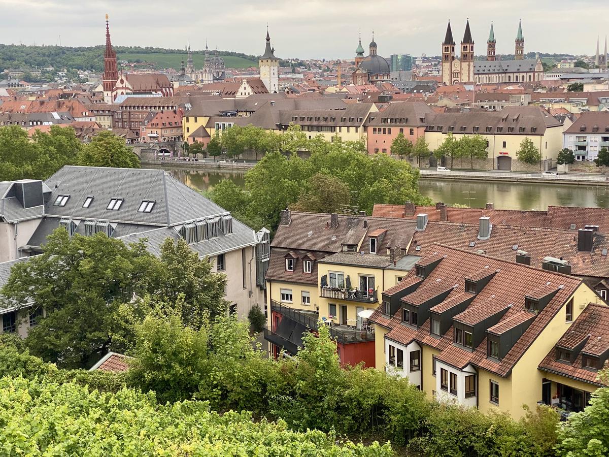 Würzburg Marienberg vineyard city panorama 2 by RoelH on Iphone11 - Aug 2025 - IMG_2703.jpeg
