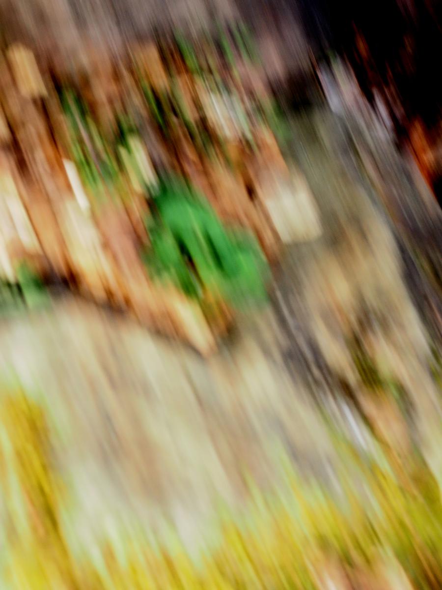 M!1.2    03142026_4067.jpg