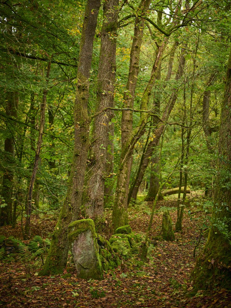 DSC_7690.jpg