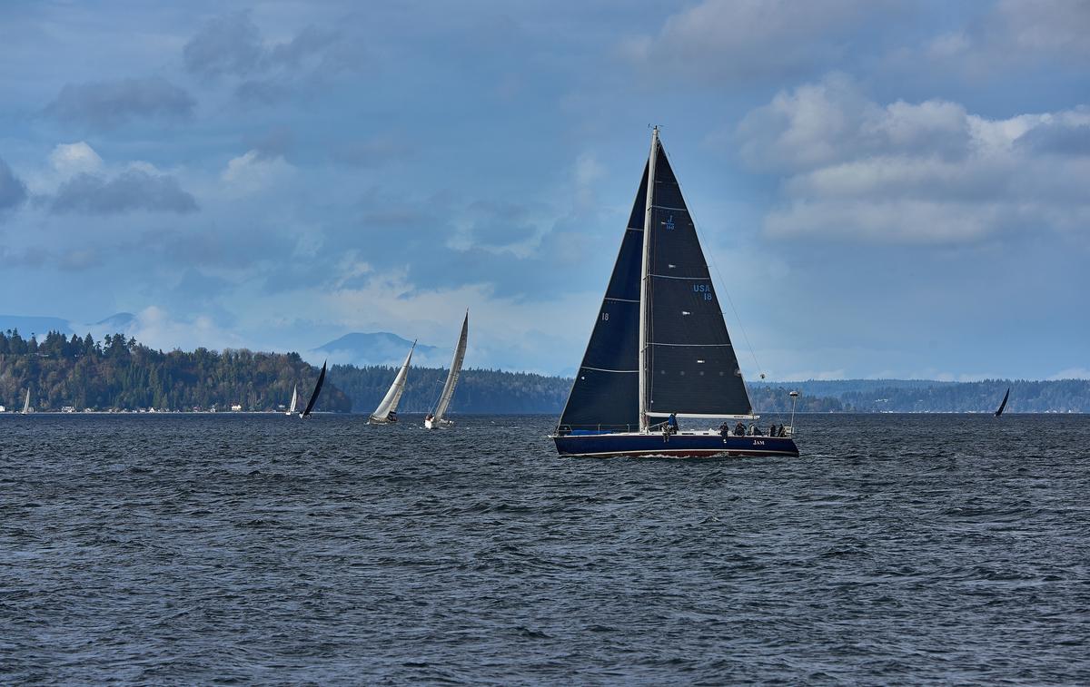 sailboats-12-small.jpg