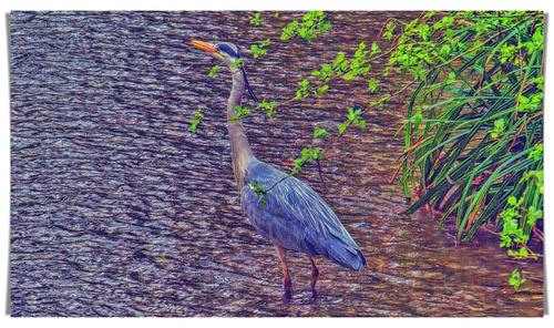 _DSF0218-Heron-RiverAvon-Pewsey-Wiltshire_copy_2532x1497.jpg