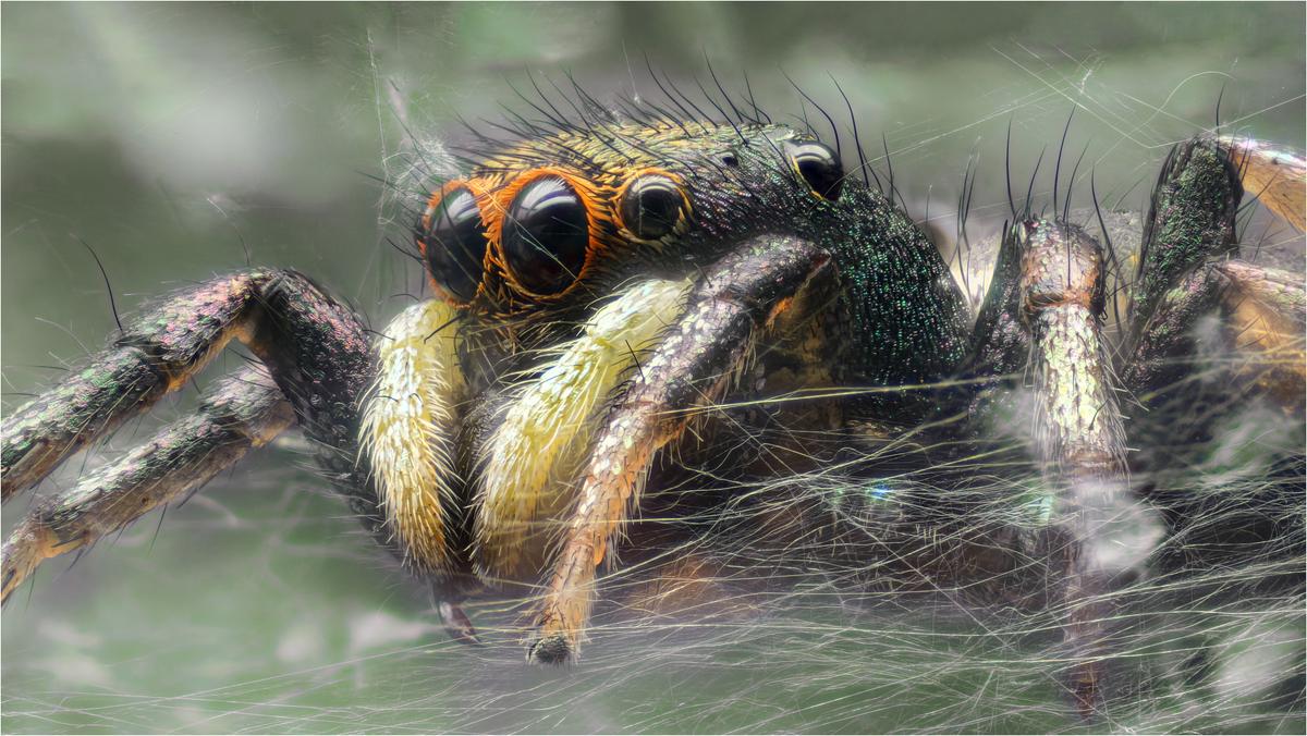 2025-07-14-17.35.39 ZS PMax copy web.jpg