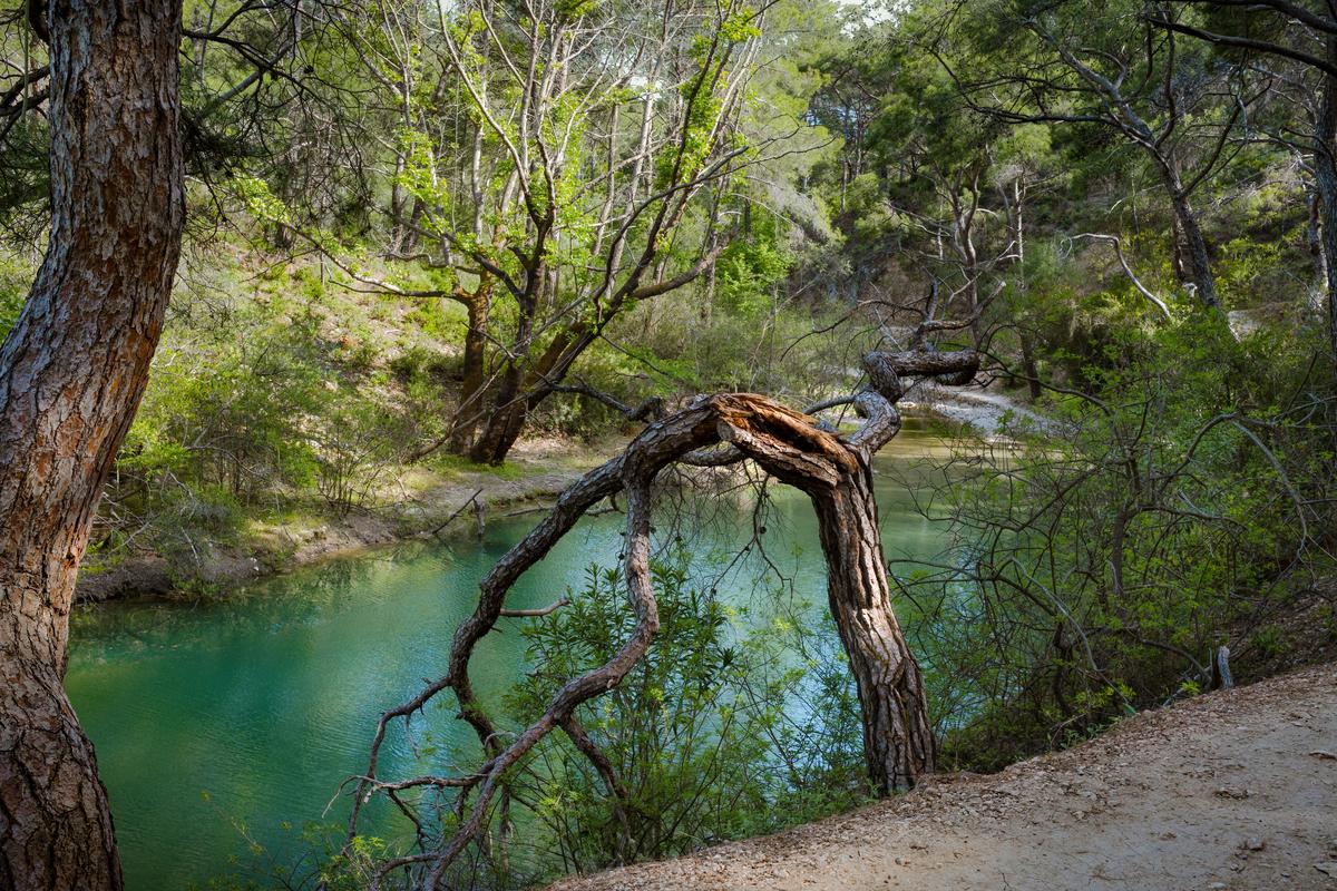 _DSF2142-IridientEdit edit.jpg