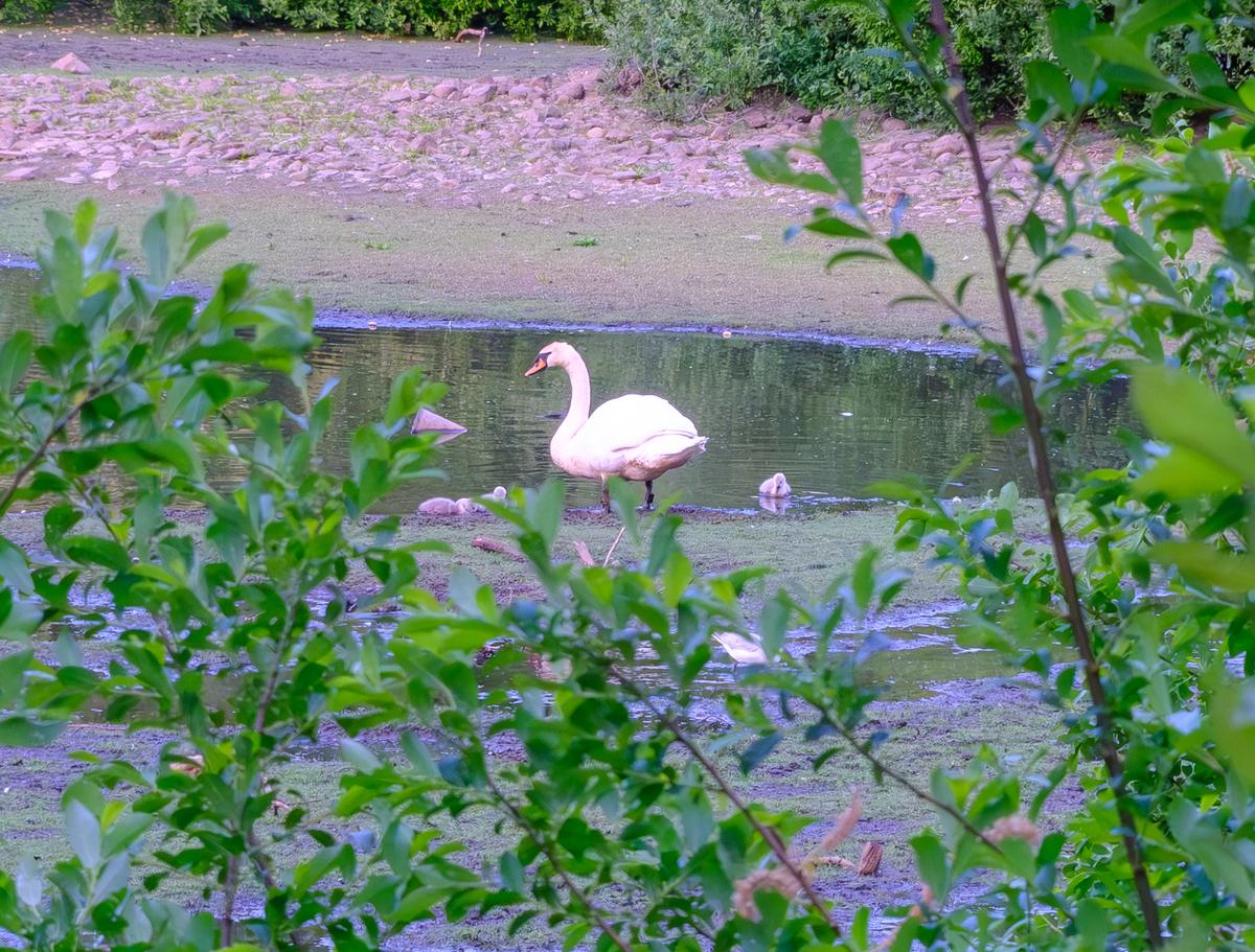 DSCF0269-Enhanced-NR-1.jpg
