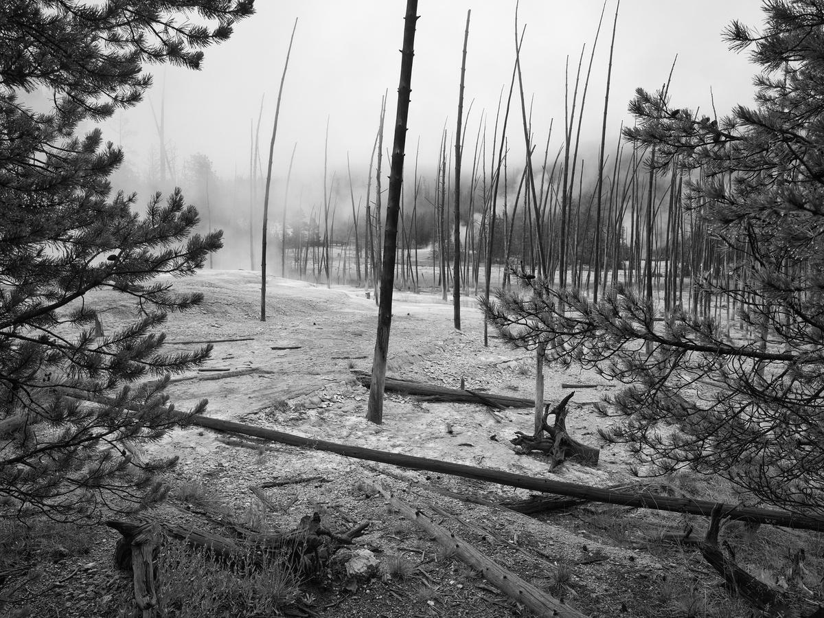 Yellowstone-GFRF3284-20260723-0649.jpg