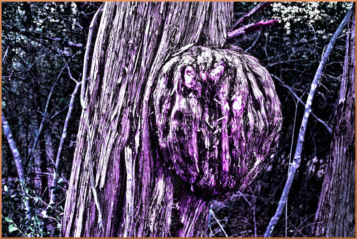 Burl CLAHE Alien Map.jpg