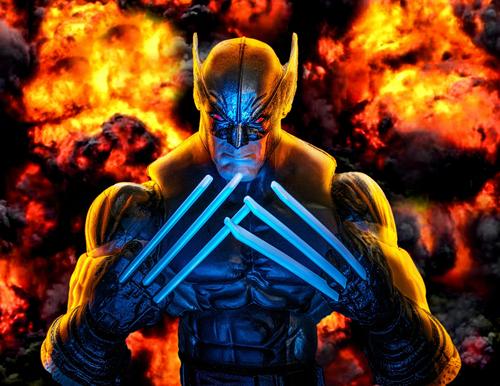 Wolverine.jpg