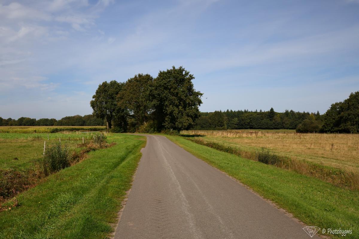 62B_9864.jpg
