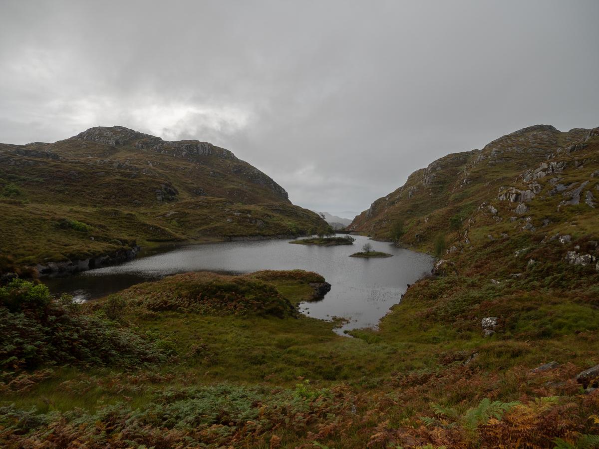 P9147236.jpg