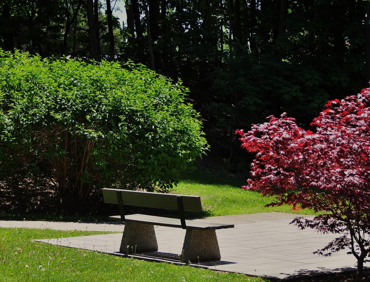 DSC_0125a.JPG