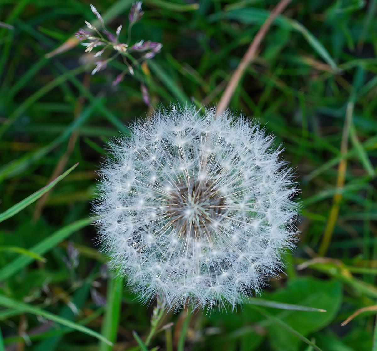 L1002350_b2.jpg