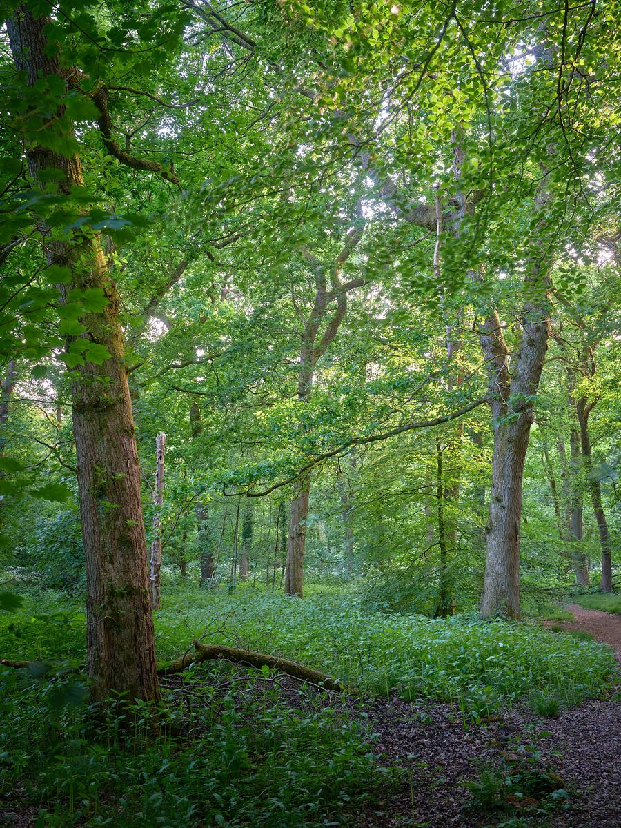 DSCF3133.jpg
