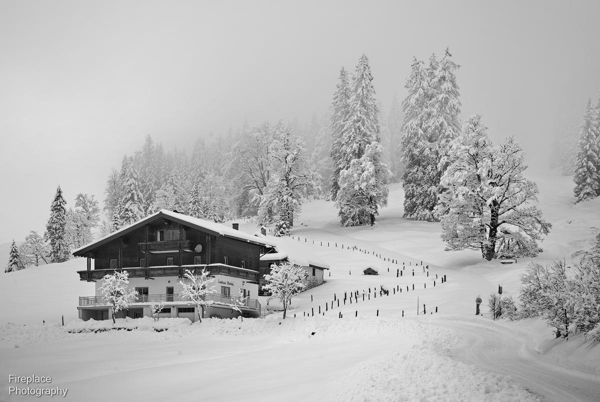 DSC_7608 - B&W smaller2.JPG