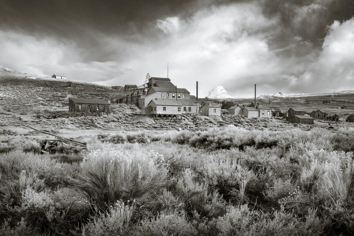 bodie edit-2.jpg