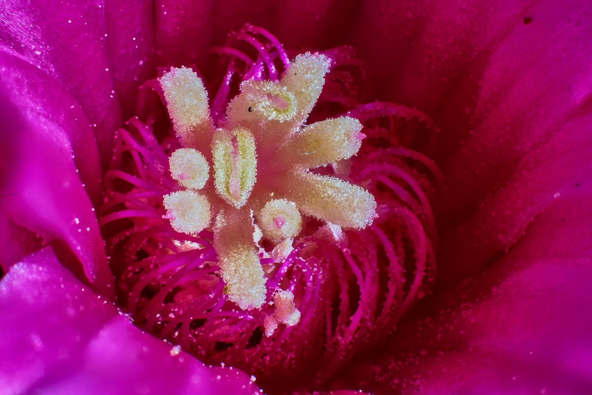 2026-04-11 12-04-58 (B,R8,S5)_1.jpg