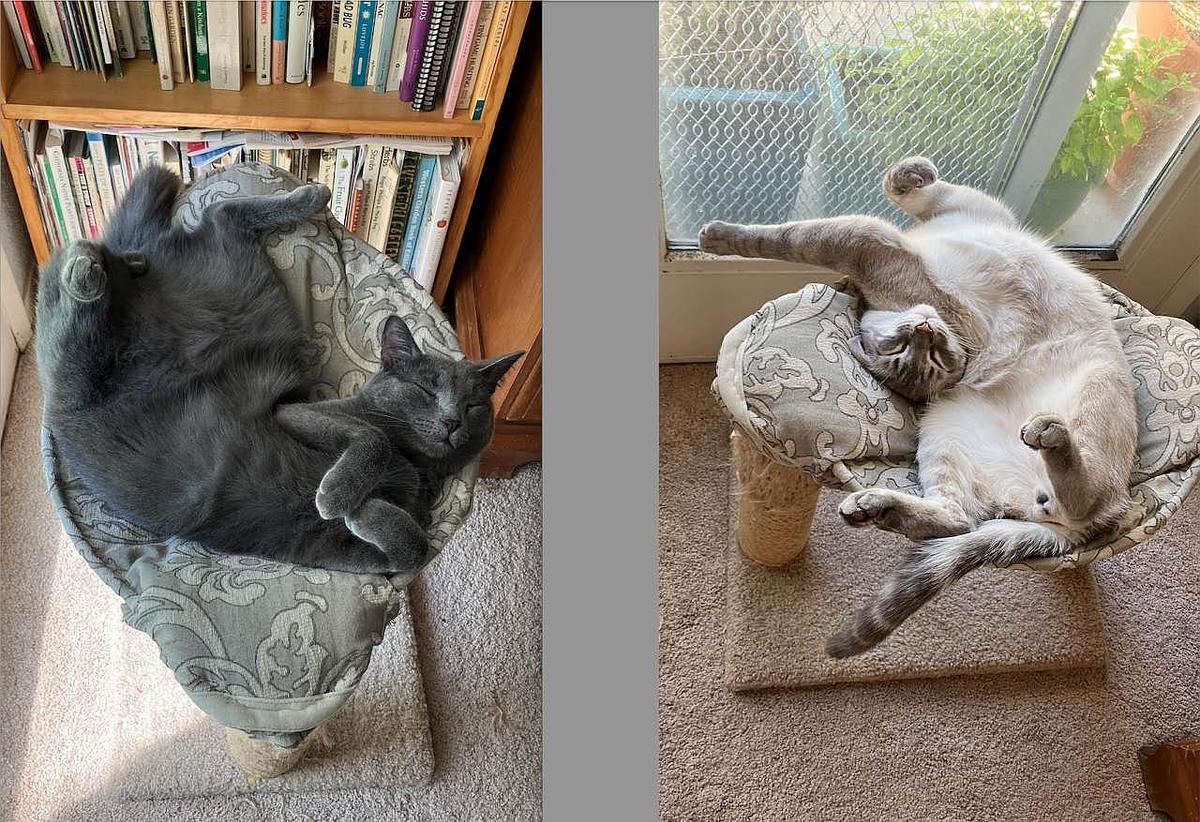 Lexi & Arni positions small.jpg