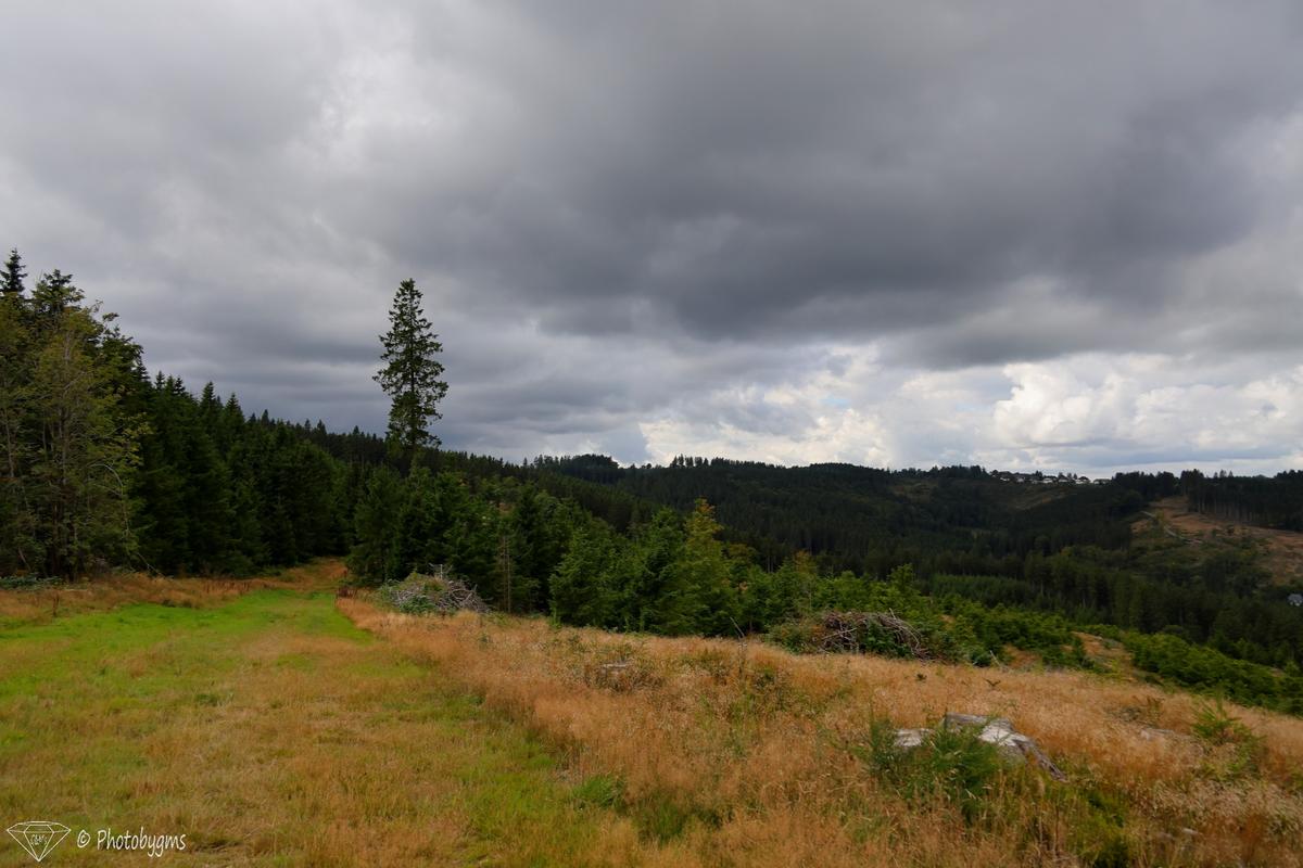 IMG_0785.jpg