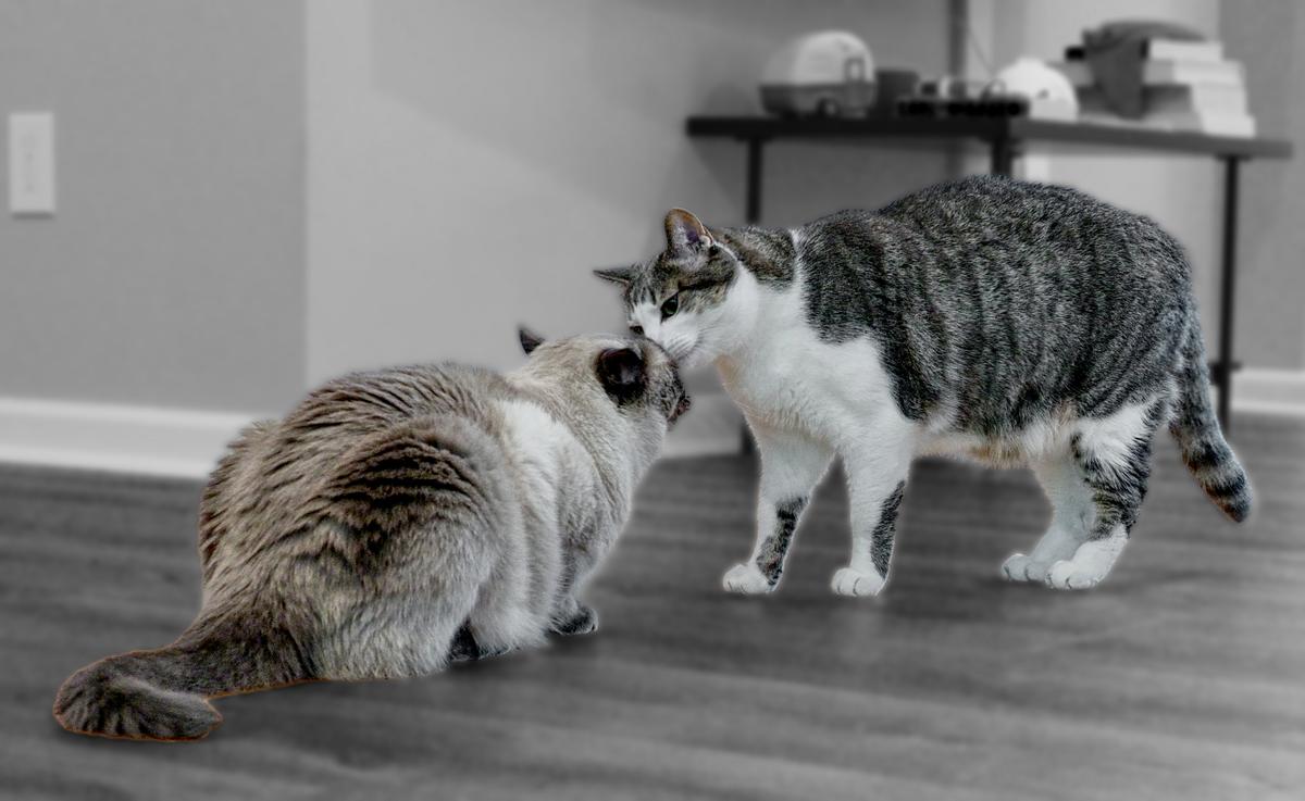 2 Friends.jpg