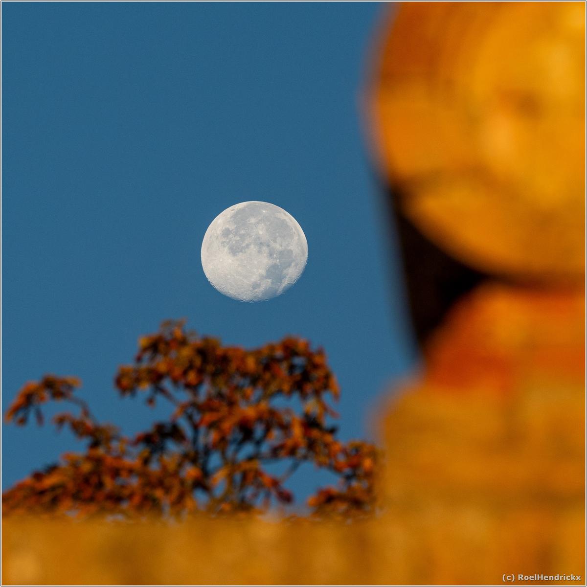 IT-202510101-RoelH-TA090933-LR14-sRGB.jpg