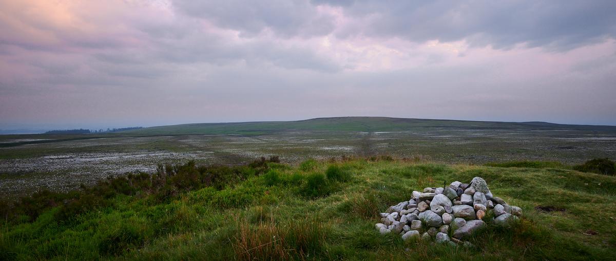 DSC_5583.jpg