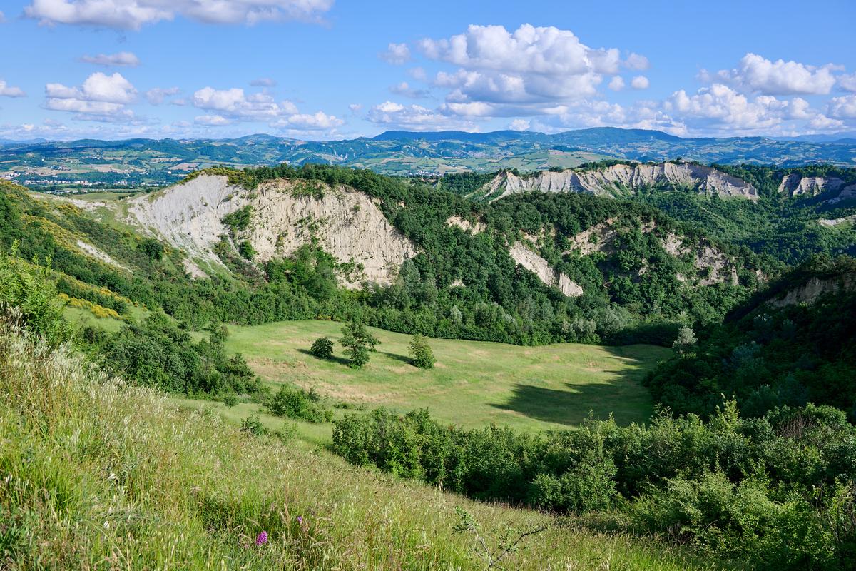 8DS_6475.jpg